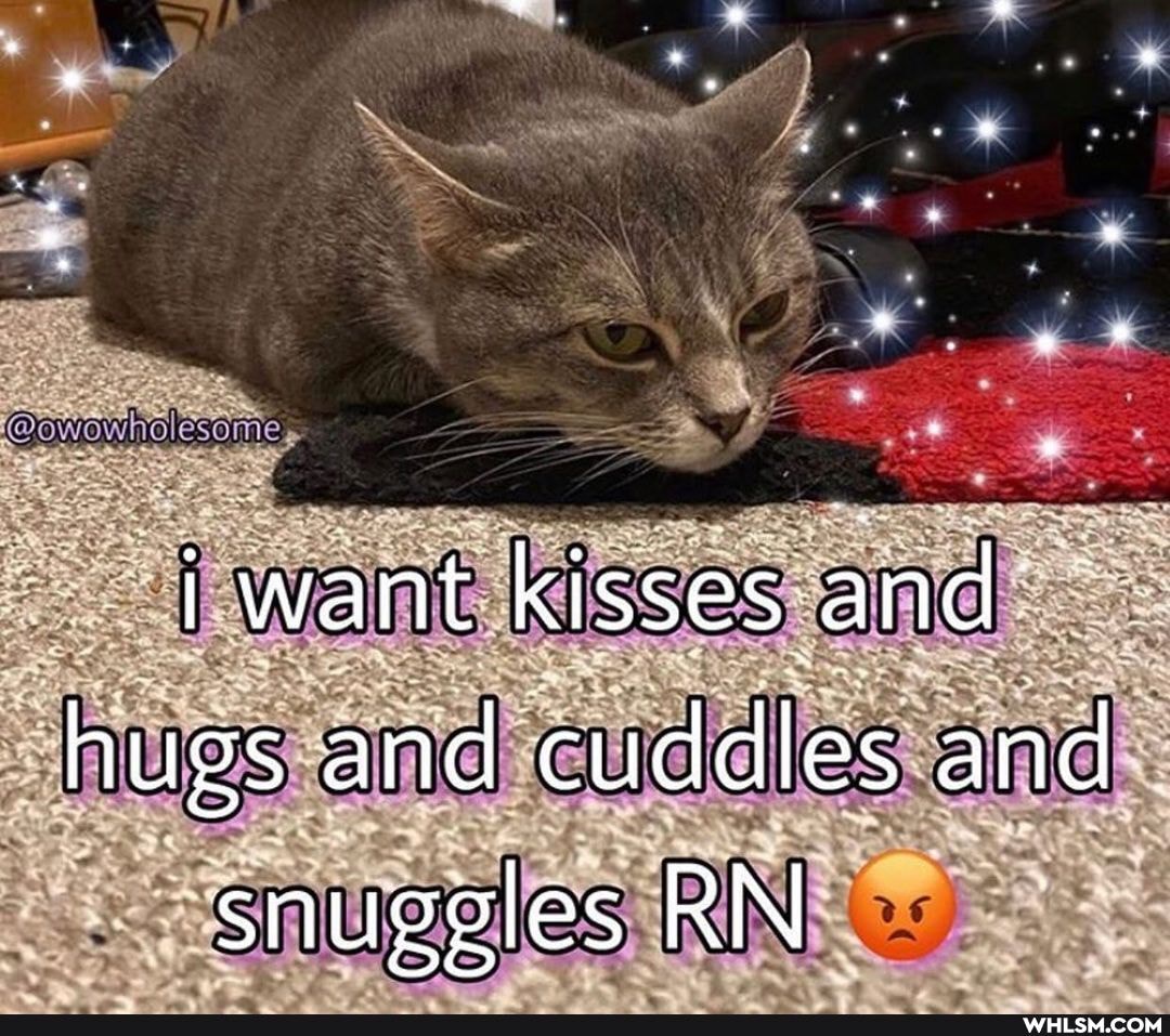 i want kisses and hugs and cuddles and snuggles RN