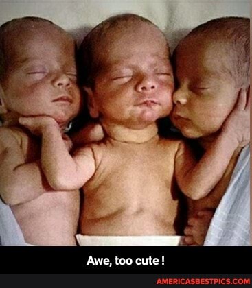 Awe, too cute! - Awe, too cute !