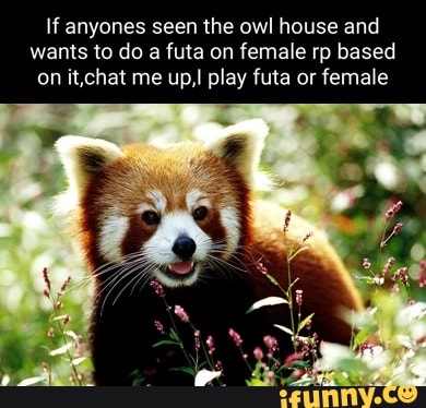 If Anyones Seen The Owl House And Wants To Do A Futa On Female Rp Based 