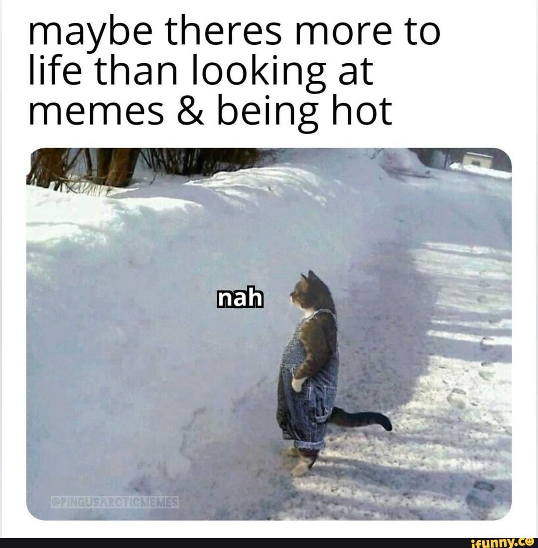 Maybe theres more to life than looking at memes & being hot - iFunny