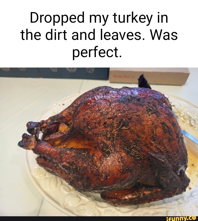 Dropped my turkey in the dirt and leaves. Was perfect. - iFunny