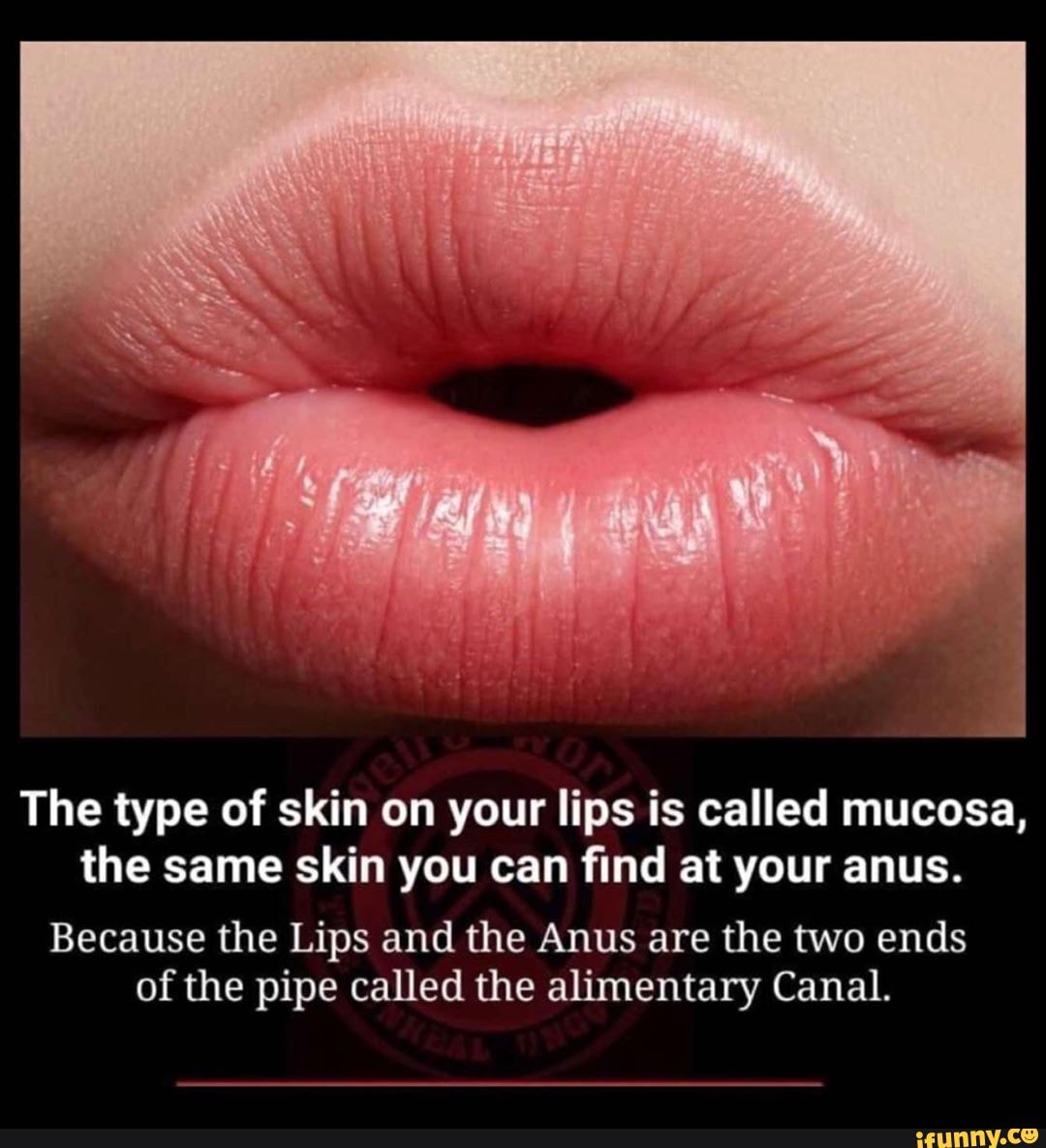 The type of skin on your lips is called mucosa, the same skin you can