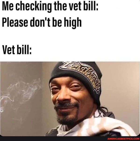 Relatable Memes For People Over 30 - Me checking the vet bill: Please ...