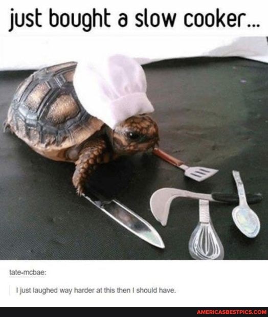 just bought slow cooker...