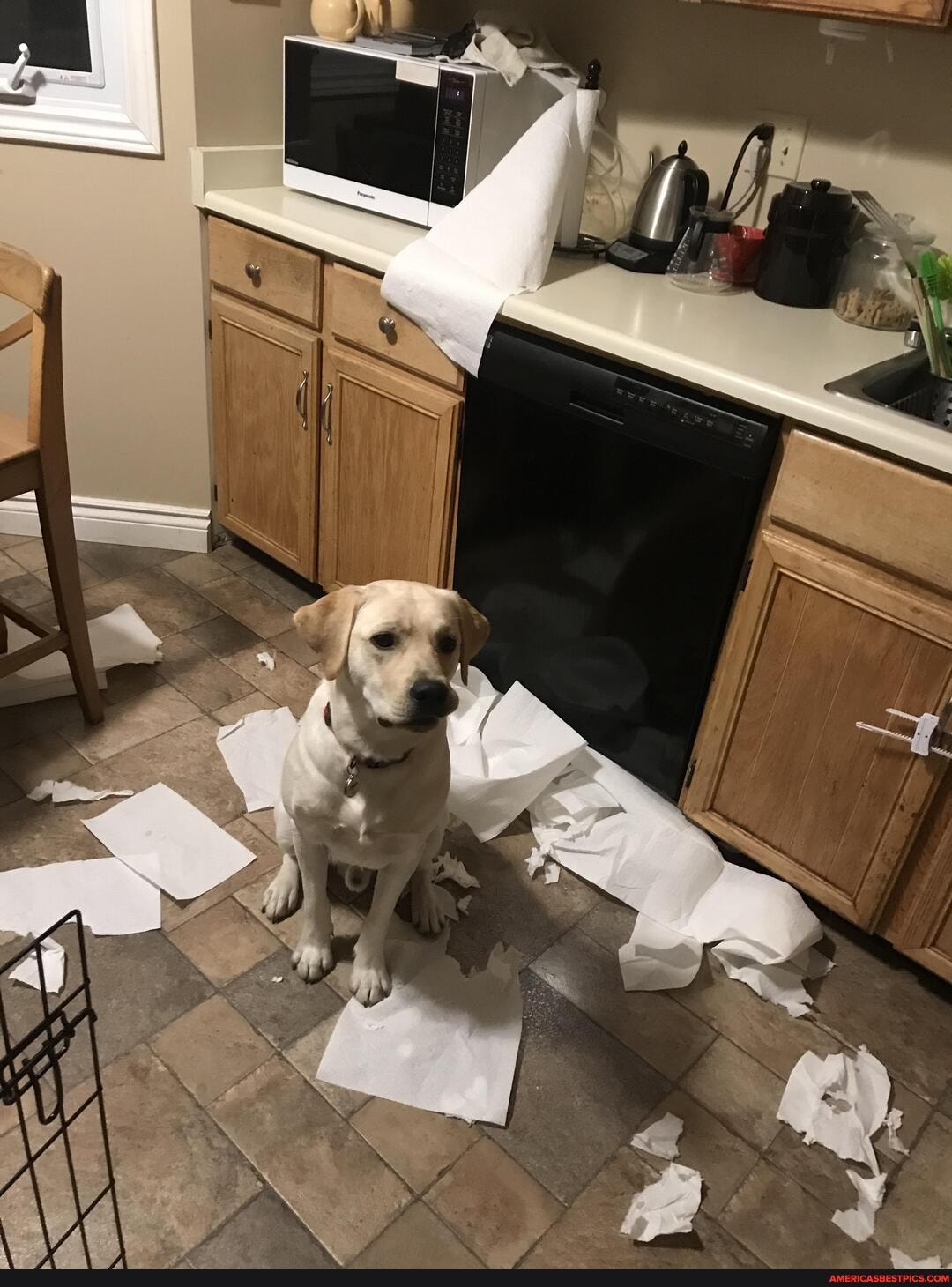 caught, act