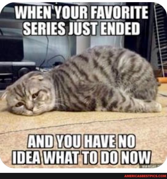 WHEN YOUR FAVORITE SERIES JUST ENDED
AND YOU HAVE NO IDEA WHAT NOW