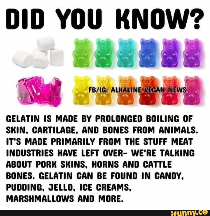 GELATIN IS MADE BY PROLONGED BOILING OF SKIN, CARTILAGE, AND BONES FROM