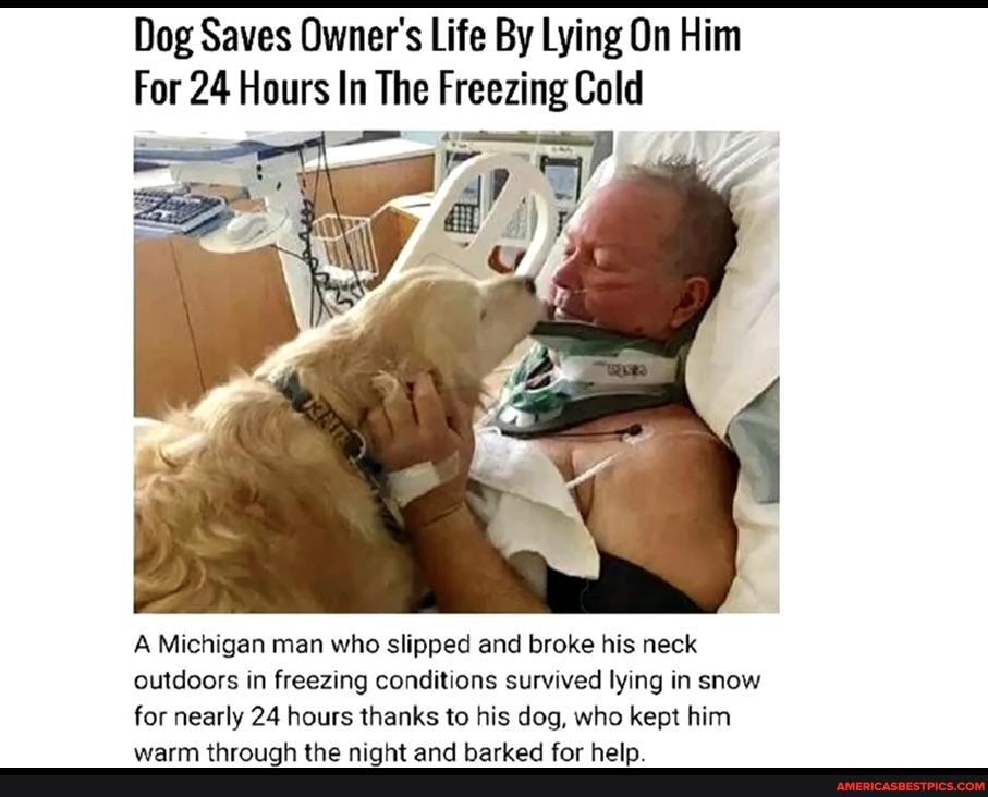 Dog Saves Owner's Life By Lying On Him
For 24 Hours In The Freezing Cold
A Michigan man who slipped and broke his neck outdoors in freezing conditions survived lying in snow for nearly 24 hours thanks to his dog, who kept him
iink thn ninkt and hacband far kale