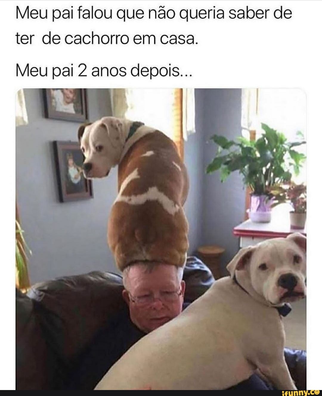 Meu pai falou que não queria saber de ter de cachorro em casa.
Meu pai 2 anos depois...