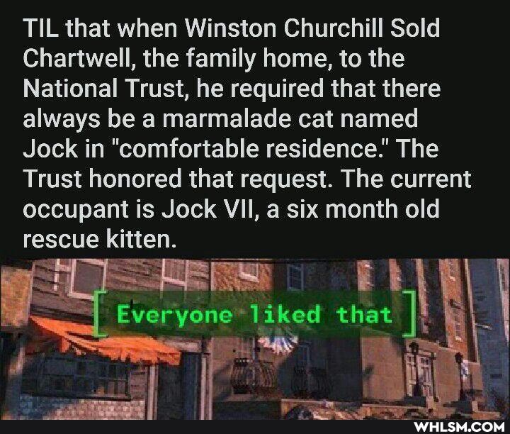 TIL that when Winston Churchill Sold
Chartwell, the family home, to the
National Trust, he required that there always be a marmalade cat named
Jock in "comfortable residence.' The
Trust honored that request. The current occupant is Jock VII, a six month old rescue kitten.
_Everyone that