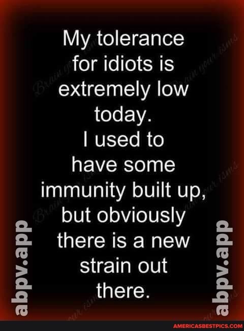 abpv.app
My tolerance for idiots is extremely low today.
I used to have some immunity built up, but obviously there is a new strain out there.
abpv.app