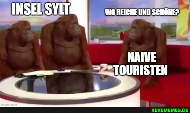 INSEL SYLT WO REICHE UND SCHONE?
NAIVE
- TOURISTEN
ER