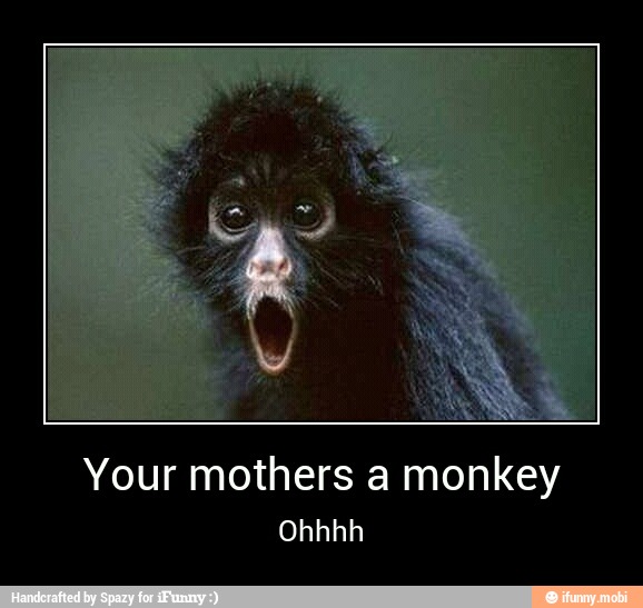 Your mothers a monkey - Your mothers a monkey
Ohhhh