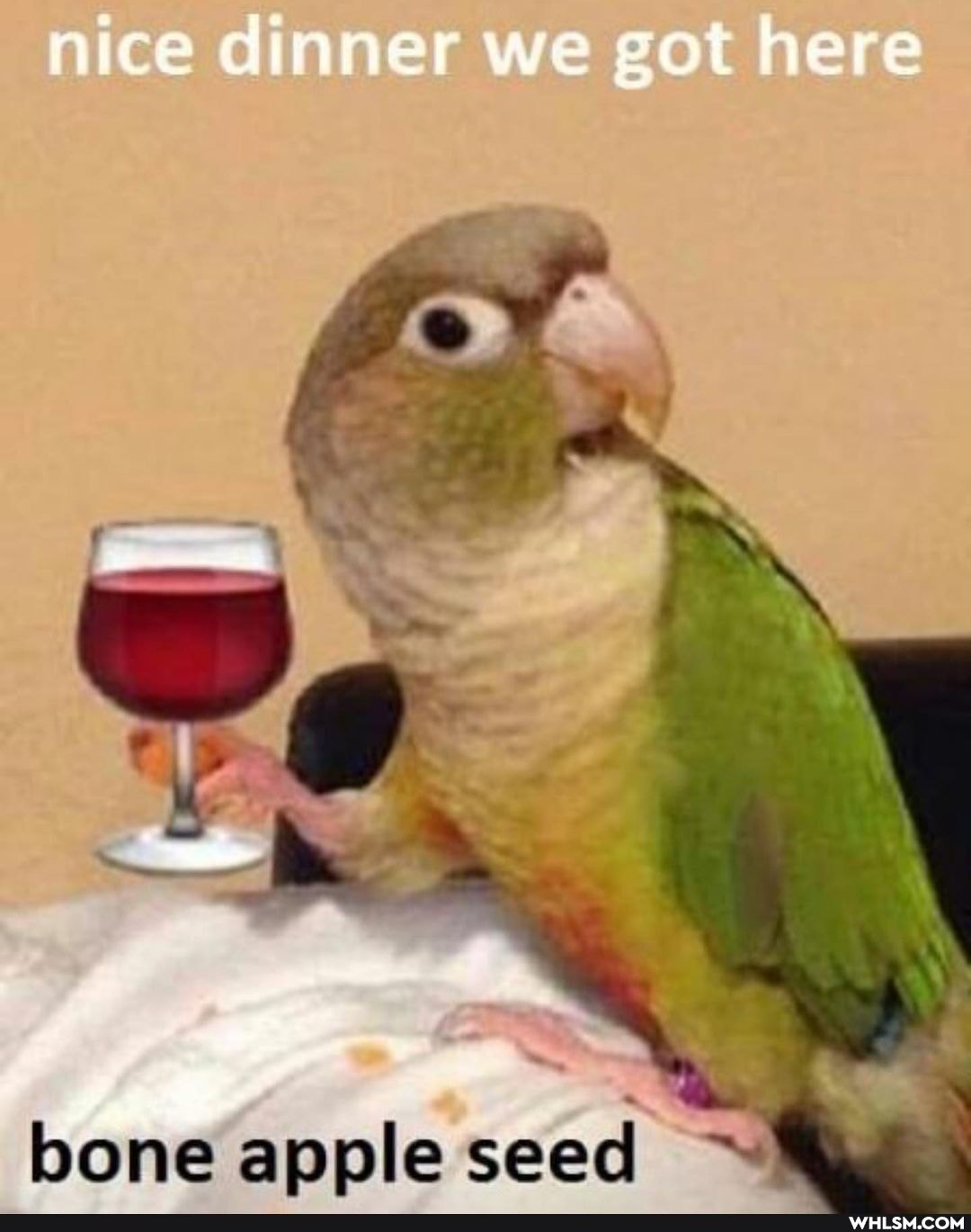 nice dinner we got here
seed