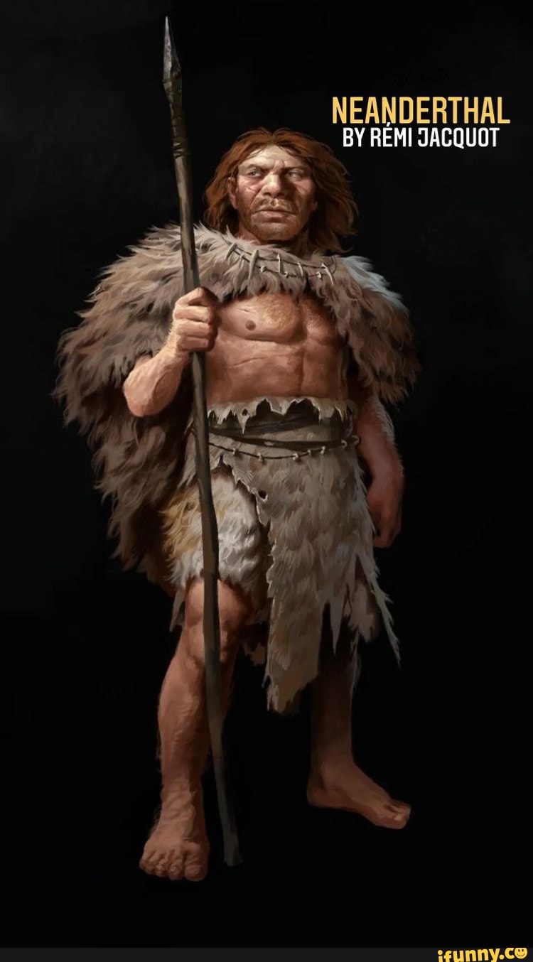 neanderthal weapons