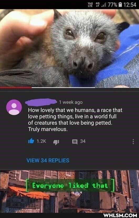 77%
1 week ago
How lovely that we humans, a race that love petting things, live in a world full of creatures that love being petted.
Truly marvelous.
34
Tiked that
VIEW 34 REPLIES