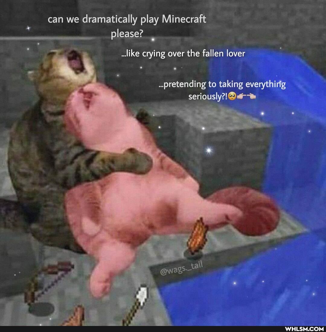 can we dramatically play Minecraft please?
like crying over the fallen lover
..pretending to taking everythirig seriously?!