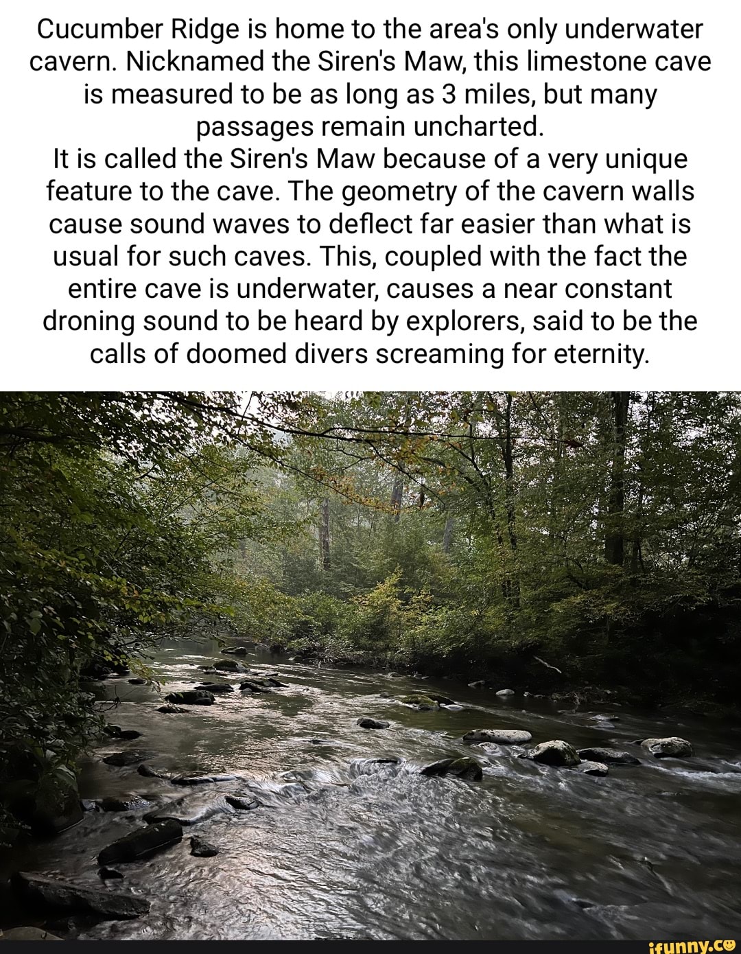 Cucumber Ridge is home to the area's only underwater cavern. Nicknamed ...