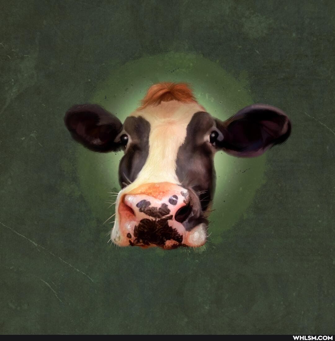 art, cows, vegan, friesians