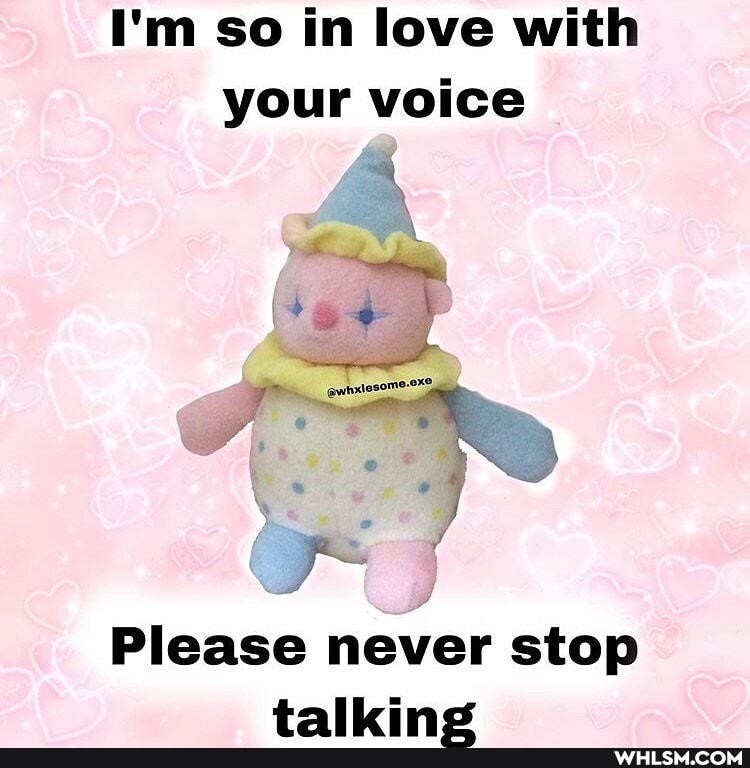 I'm so in love with your voice
Please never stop talling