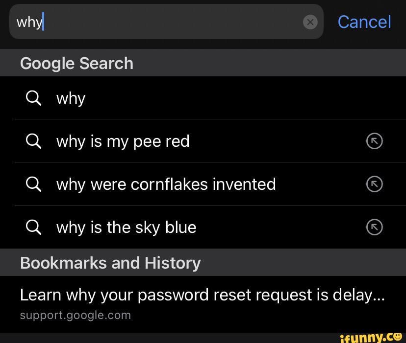 Why Cancel Google Search Q why why is my pee red Q why were cornflakes