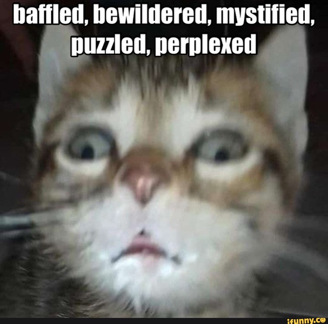 Batiled, hewildered, mystified, puzzled, perplexed - iFunny