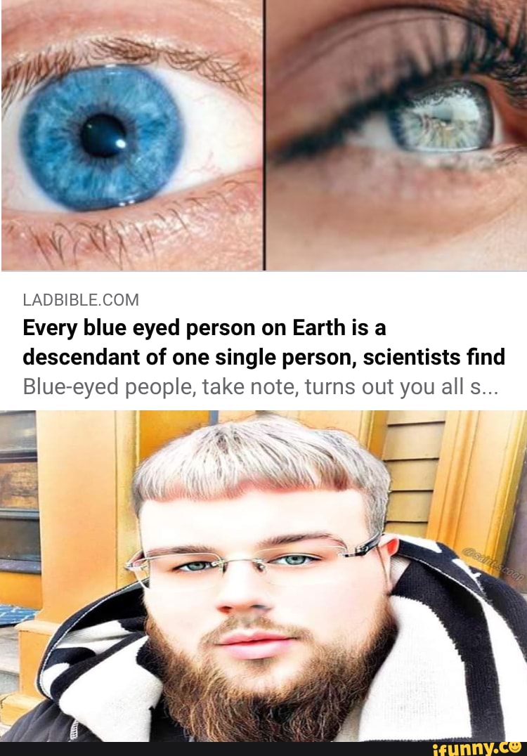 Joeyy the progenitor of all whites - LADBIBLE COM Every blue eyed person on  Earth is a descendant of one single person, scientists find Blue-eyed  people, take note, turns out you all