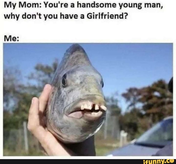 My Mom: You're a handsome young man,
why don't you have a Girlfriend?