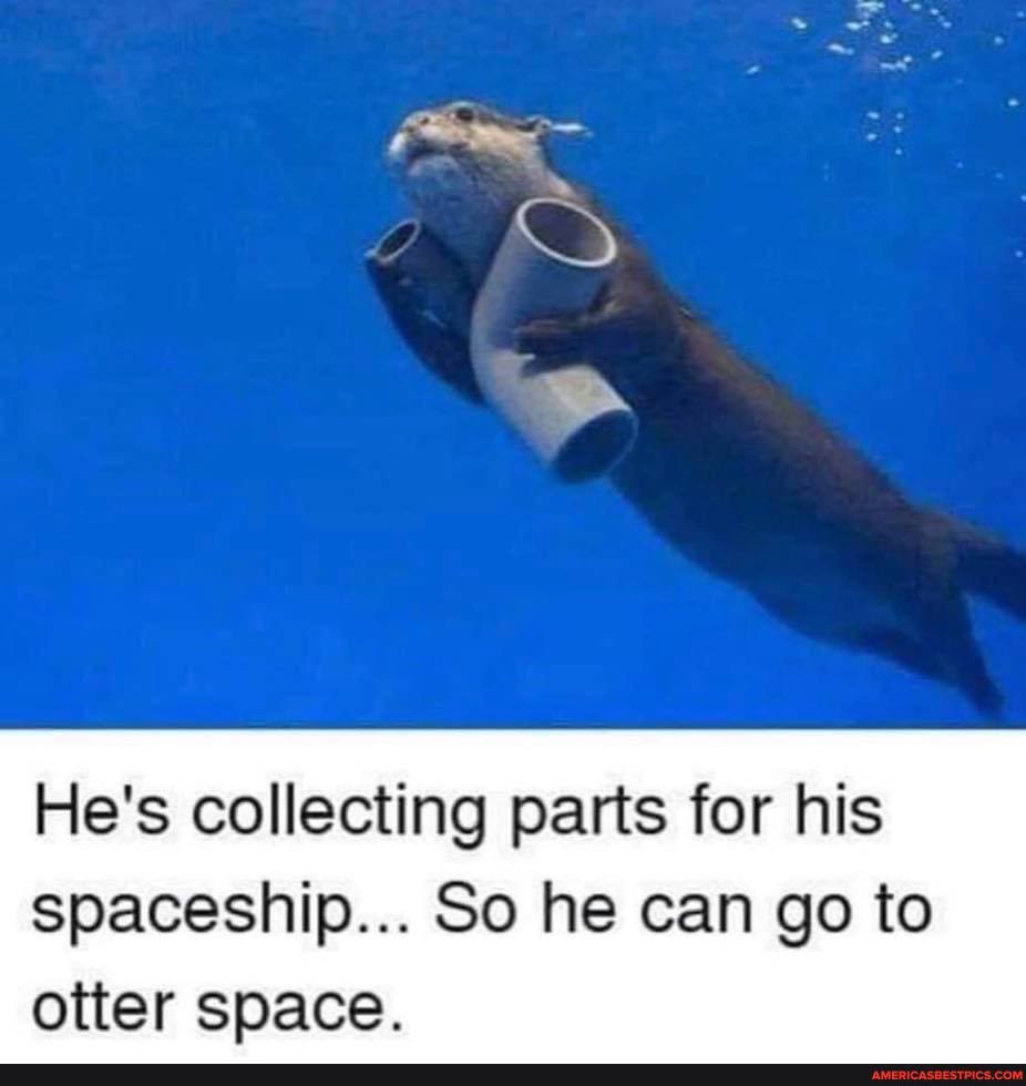 He's collecting parts for his
spaceship... So he can go to otter space.