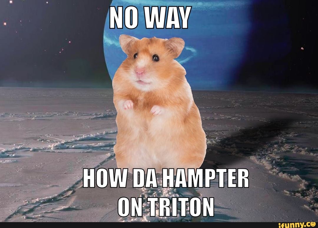 No Way How Da Hampter On Triton