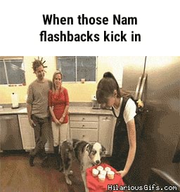 14+ Nam Flashback Dog Meme Pics