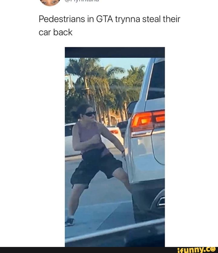 way
Pedestrians in GTA trynna steal their car back