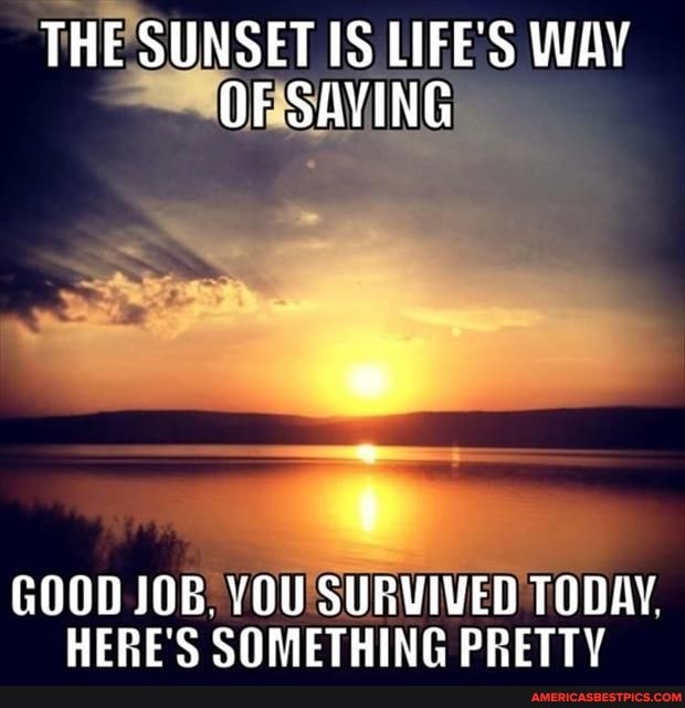 THE SUNSET IS LIFE'S WAY OF SAYING
GOOD JOB. YOU SURVIVED TODAY.
HERE'S SOMETHING PRETTY