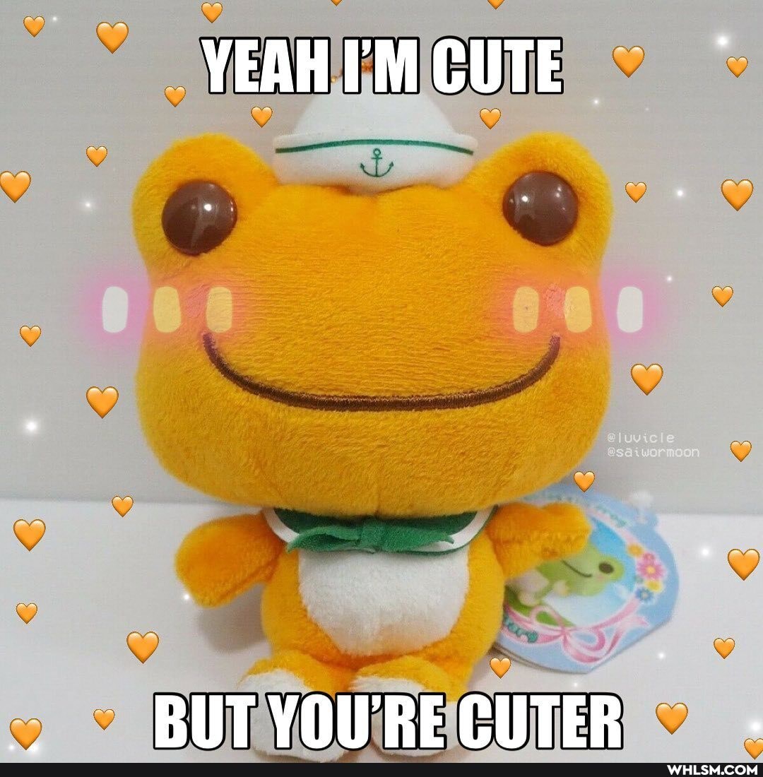 YEAH IMCUTE
PUT YOURECUTER