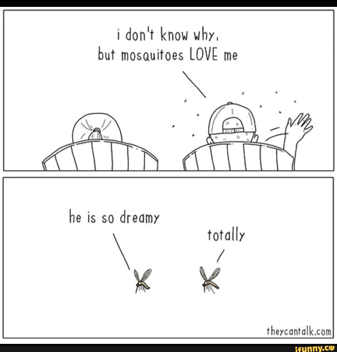 i don't know why,
but mosquitoes LOVE me
he is so
dreamy
totally
K