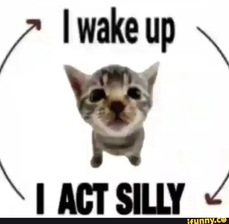 i-wake-up-act-silly-ifunny