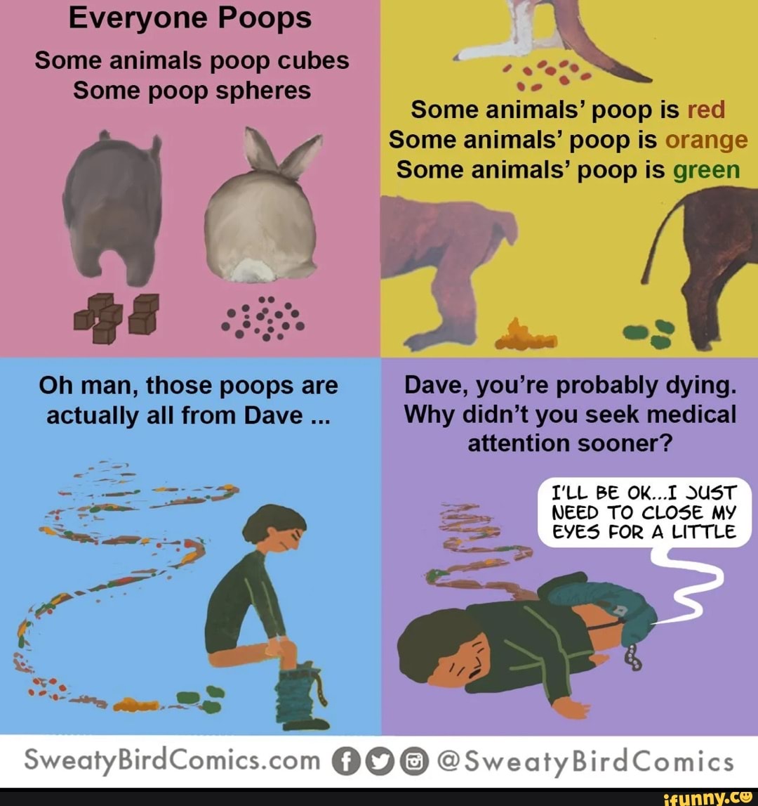 Everyone Poops Some animals poop cubes Some poop spheres Some animals