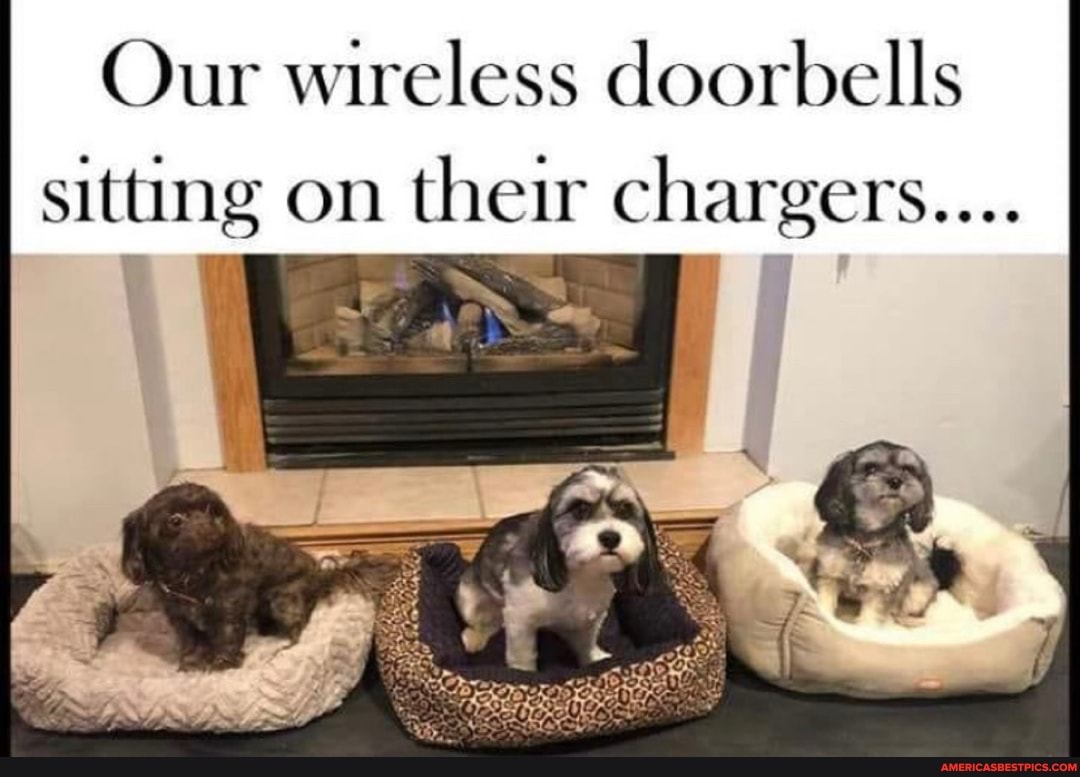 Our wireless doorbells
sitting on their chargers...
ON