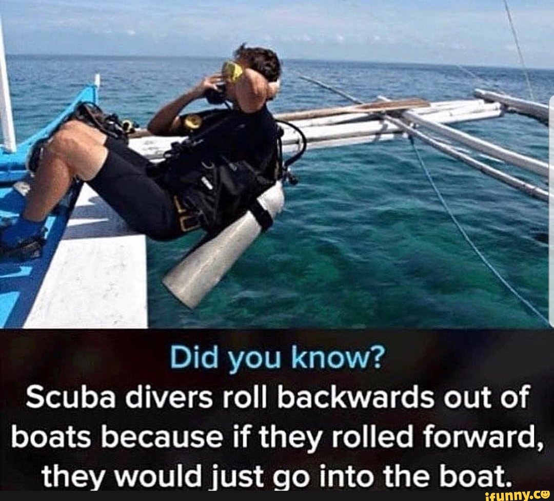 Did you know? Scuba divers roll backwards out of boats because if they ...