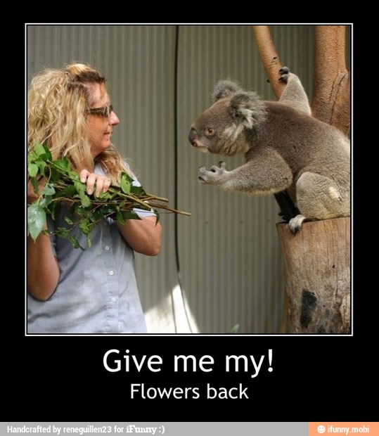 Give me my!
Flowers back - Give me my!
Flowers back