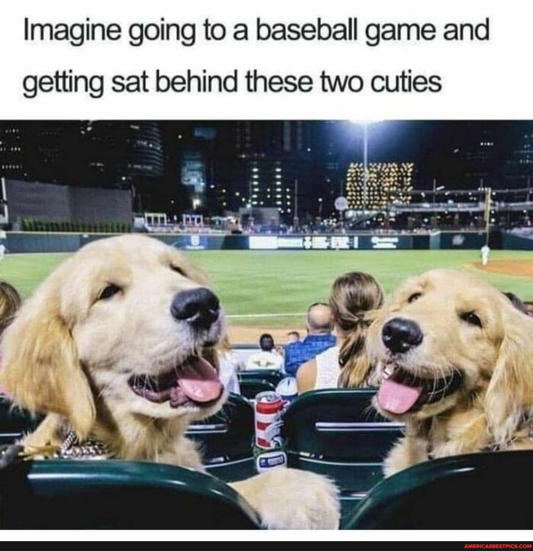 Imagine going to a baseball game and
getting sat behind these two cuties