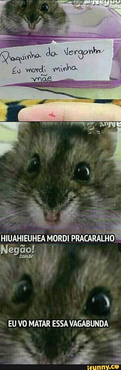 HIUAHIEUHEA
MORDI