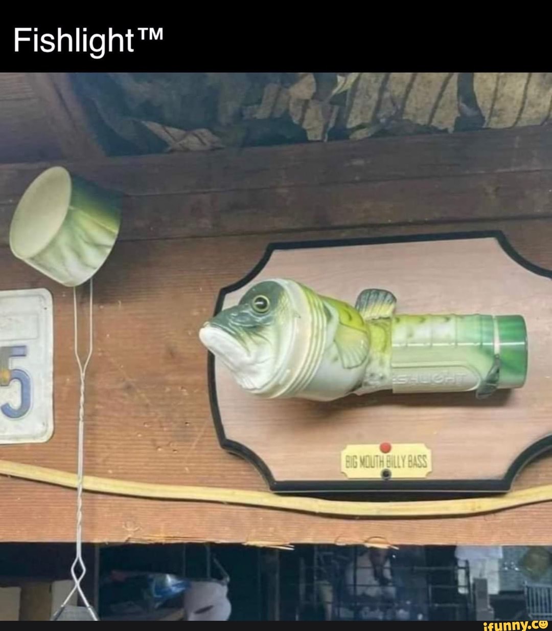 Fish fleshlight