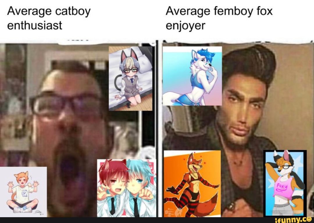 Average catboy Average femboy fox enthusiast enjoyer