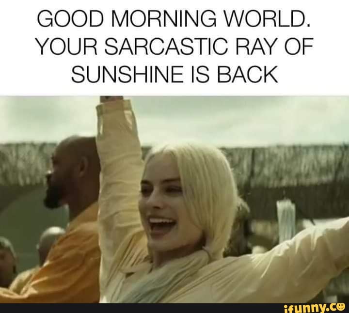 GOOD MORNING WORLD. YOUR SARCASTIC RAY OF SUNSHINE IS BACK seo.title