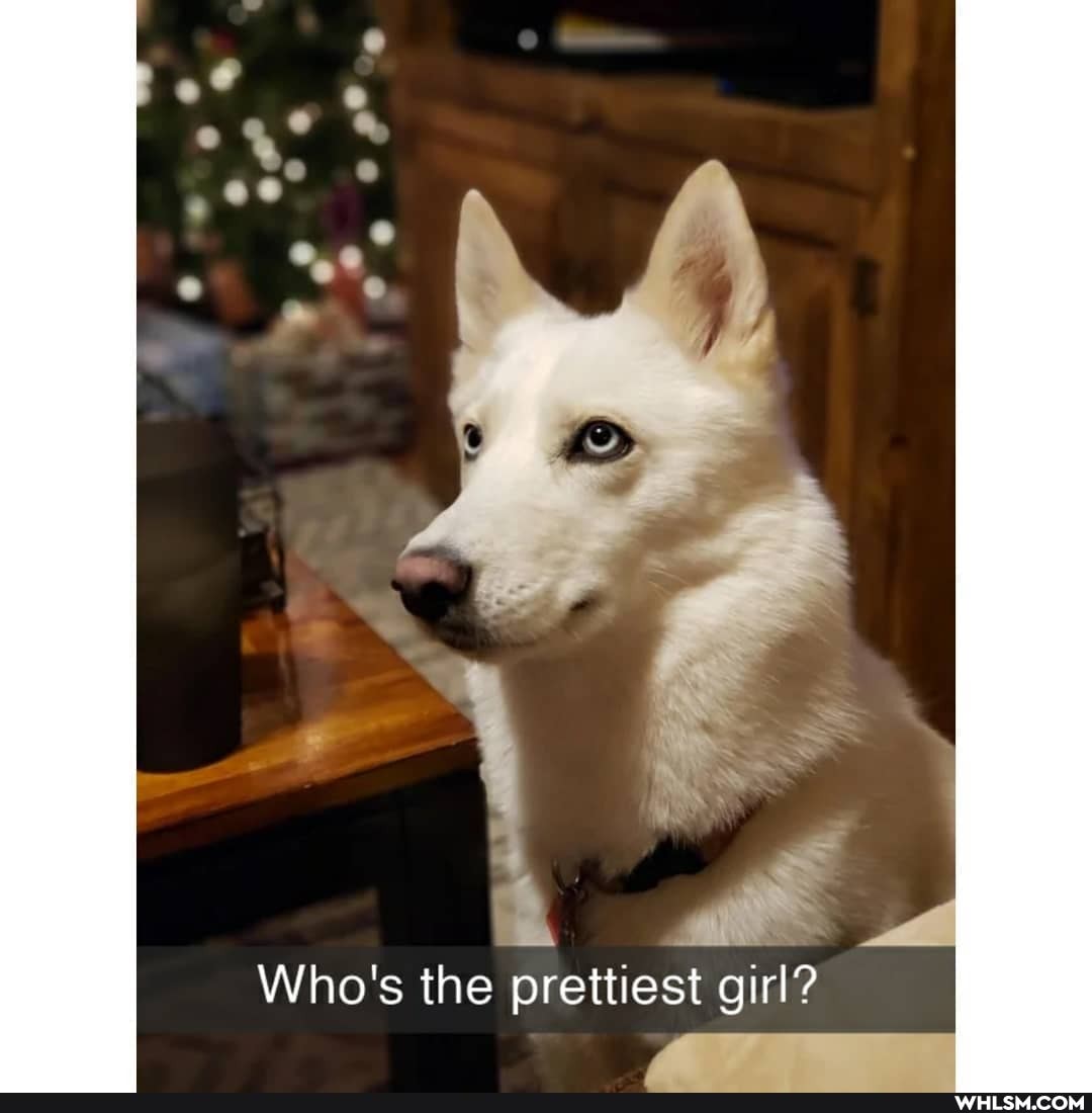 Who's the prettiest girl?
