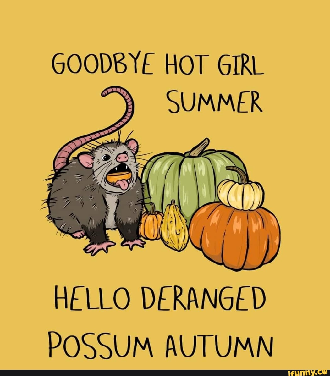 Goodbye Hot Girl Summer Hello Deranged Possum Autumn Ifunny 6844