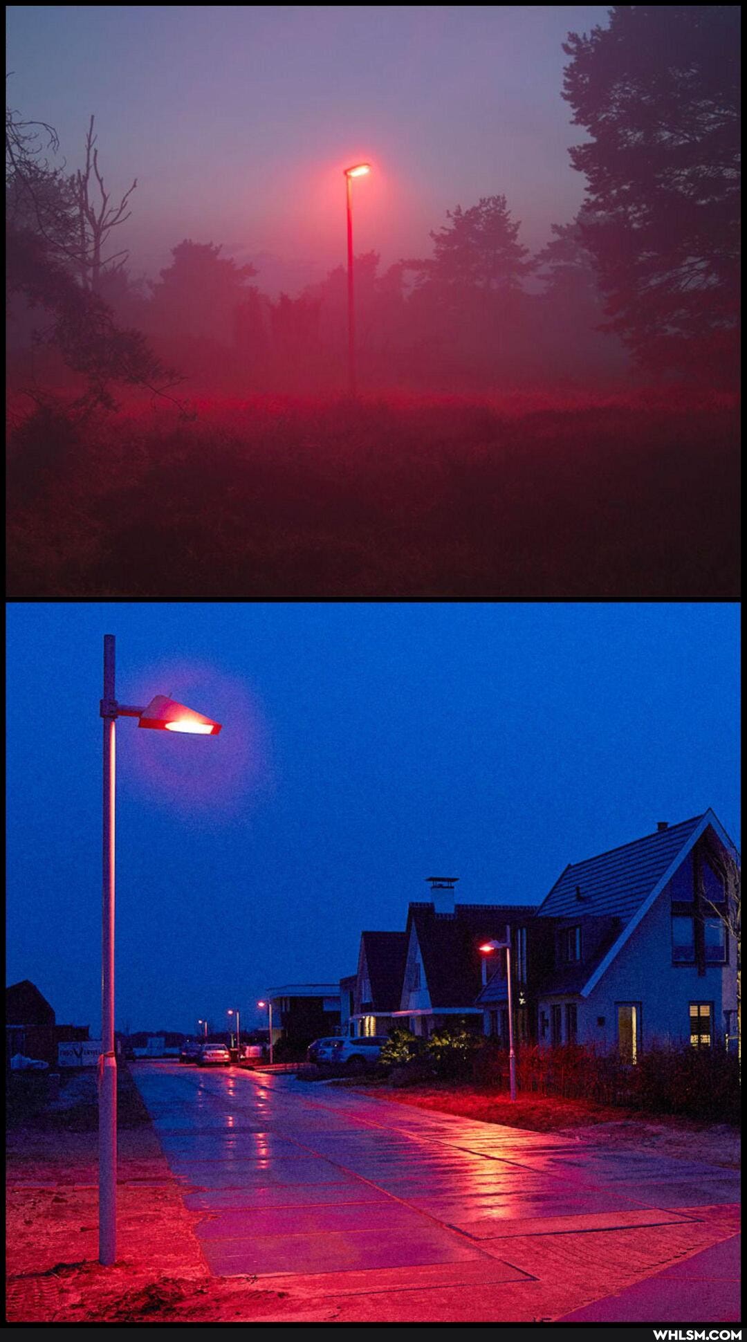 mildly_interesting, nature, amazing, wow