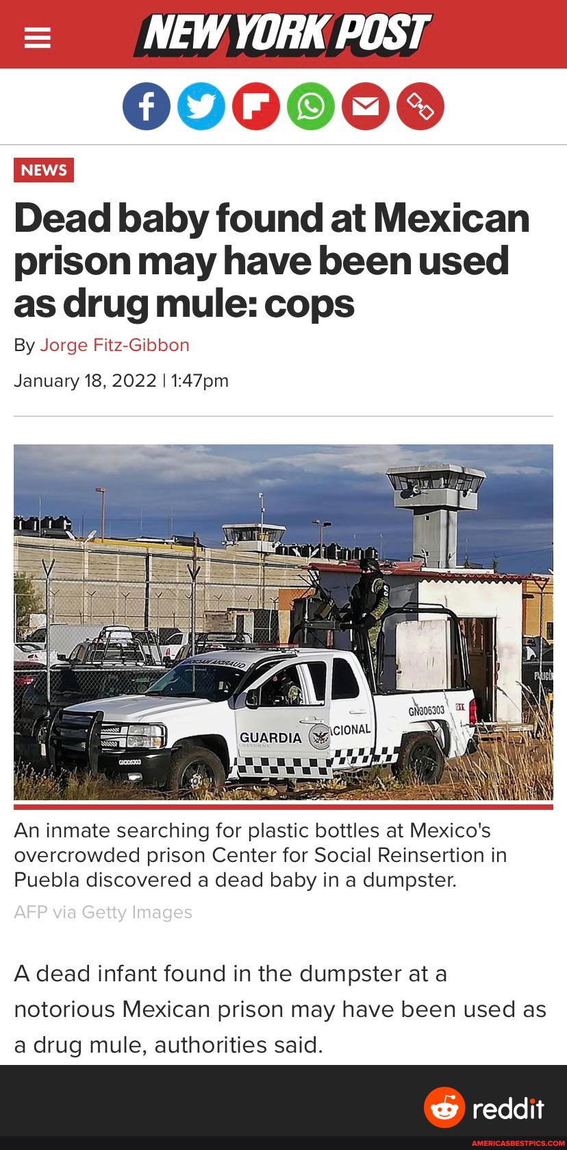 Gibbon Memes Best Collection Of Funny Gibbon Pictures On America S Best Pics And Videos