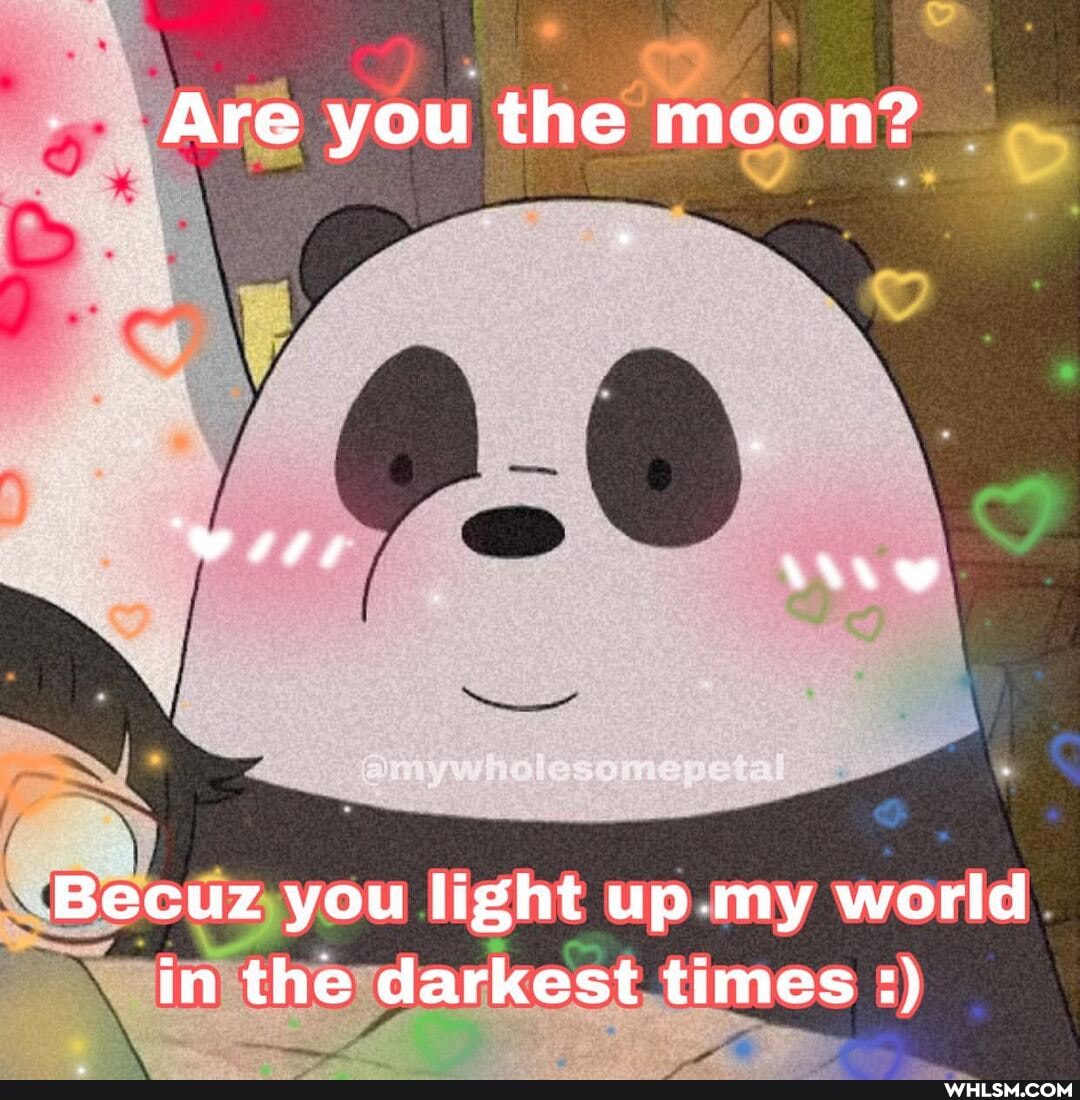 Are you the moon?
Becuz you light up my world in the darkest times